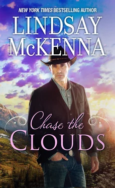 Lindsay McKenna Chase The Clouds обложка книги