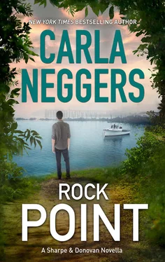 Carla Neggers Rock Point обложка книги