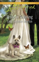 Gail Gaymer Martin - Bride in Training