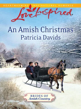 Patricia Davids An Amish Christmas обложка книги