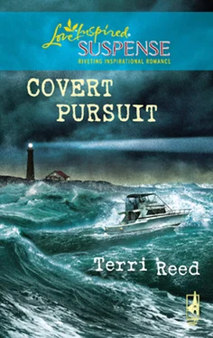 Terri Reed Covert Pursuit обложка книги