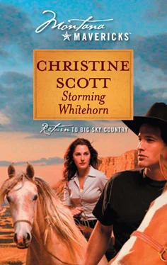 Christine Scott Storming Whitehorn обложка книги