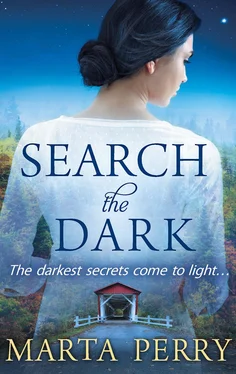 Marta Perry Search the Dark обложка книги