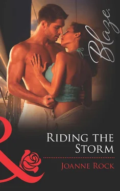 Joanne Rock Riding the Storm обложка книги