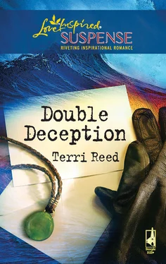 Terri Reed Double Deception обложка книги