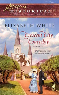 Elizabeth White Crescent City Courtship обложка книги