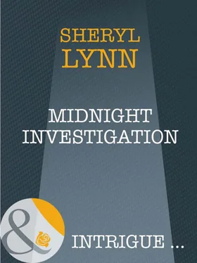 Sheryl Lynn Midnight Investigation обложка книги