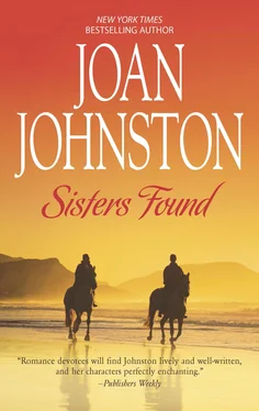 Joan Johnston Sisters Found обложка книги