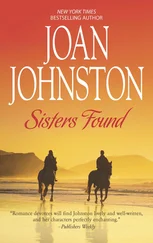 Joan Johnston - Sisters Found