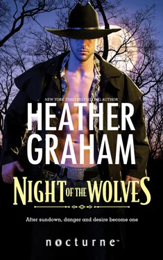 Heather Graham Night of the Wolves обложка книги