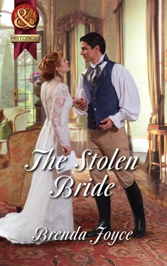 Brenda Joyce The Stolen Bride обложка книги