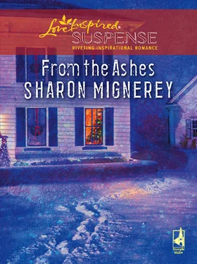 Sharon Mignerey From The Ashes обложка книги