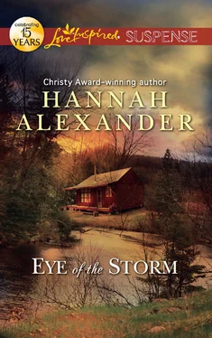 Hannah Alexander Eye of the Storm обложка книги
