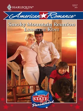 Lynnette Kent Smoky Mountain Reunion обложка книги