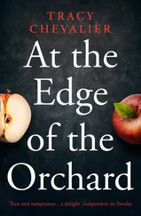 Tracy Chevalier - At the Edge of the Orchard