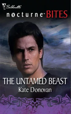 Kate Donovan The Untamed Beast обложка книги