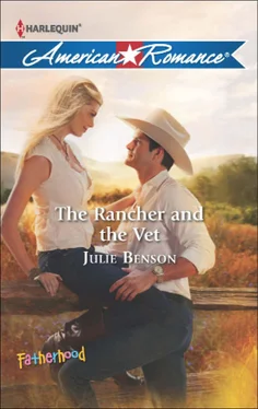 Julie Benson The Rancher and the Vet обложка книги