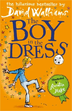 David Walliams The Boy in the Dress обложка книги