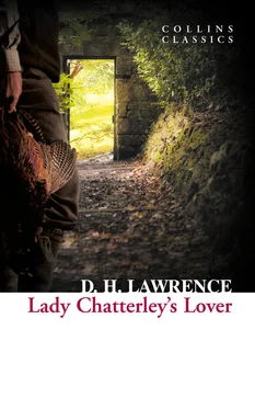 D. Lawrence Lady Chatterley’s Lover обложка книги