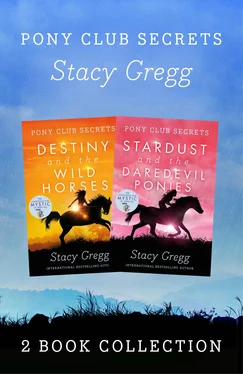 Stacy Gregg Destiny and Stardust обложка книги