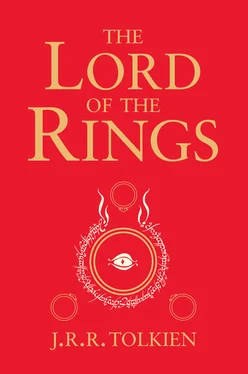 J. R. R. Tolkien The Lord of the Rings обложка книги