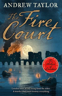 Andrew Taylor The Fire Court обложка книги