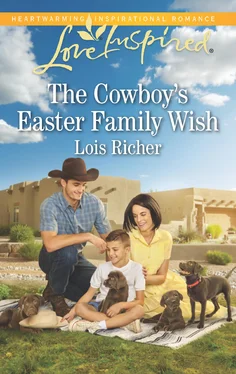 Lois Richer The Cowboy's Easter Family Wish обложка книги