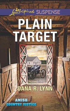 Dana R. Lynn Plain Target обложка книги