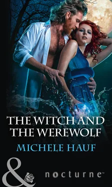 Michele Hauf The Witch And The Werewolf обложка книги