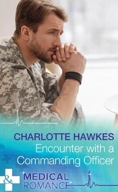 Charlotte Hawkes Encounter with a Commanding Officer обложка книги