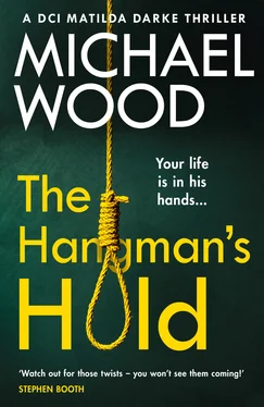 Michael Wood The Hangman’s Hold обложка книги