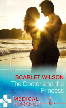 Scarlet Wilson The Doctor And The Princess обложка книги