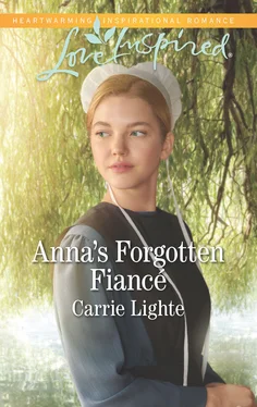 Carrie Lighte Anna's Forgotten Fiancé обложка книги