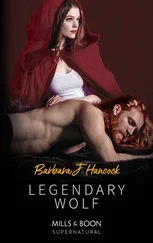 Barbara J. Hancock - Legendary Wolf