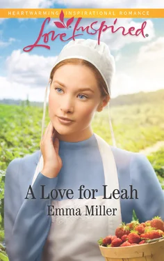 Emma Miller A Love For Leah обложка книги