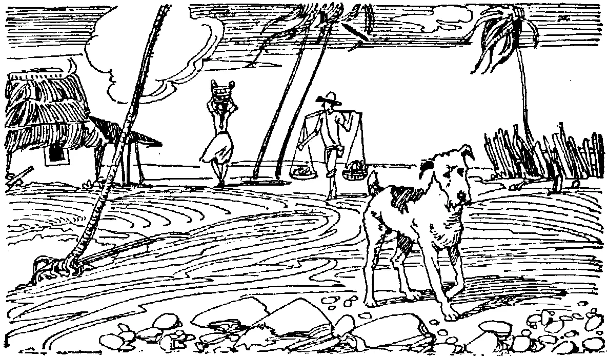 Да она была здесь Ягуай обнюхал камень массивную глыбу железняка и - фото 3