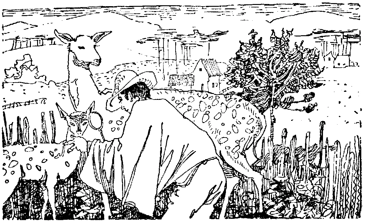 Жилабыла когдато олениха или вернее лань у которой родилось двое - фото 12