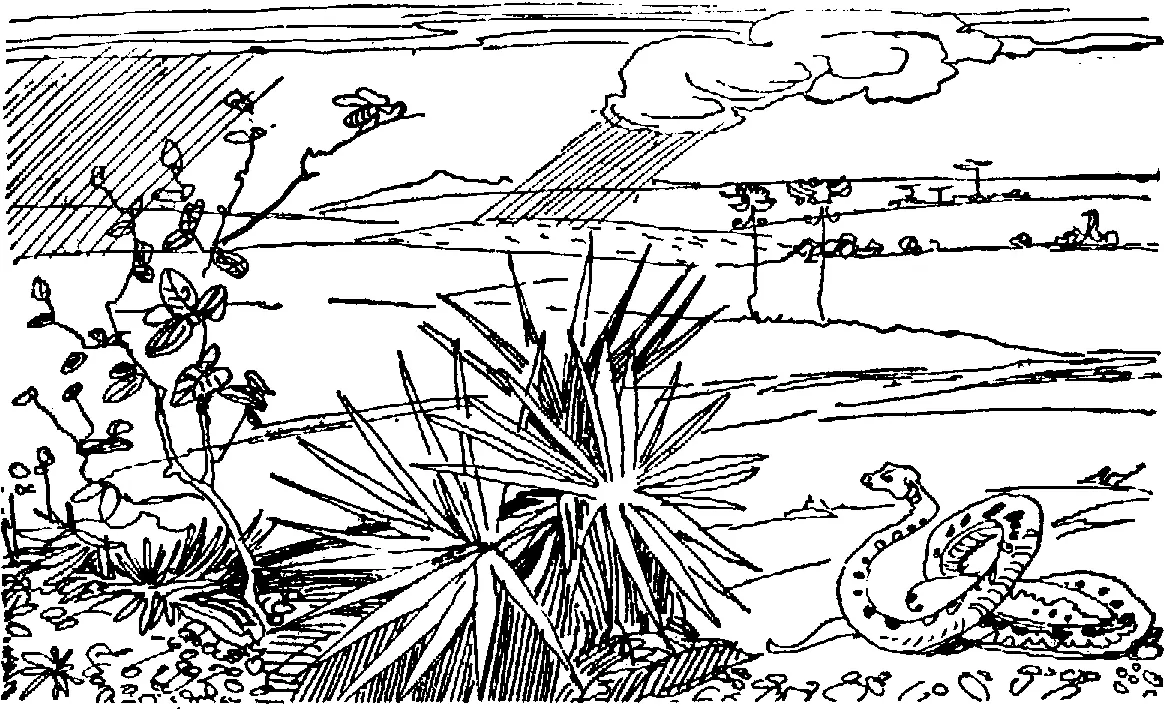 Жилабыла в одном улье пчела которая не любила работать Другими словами она - фото 15