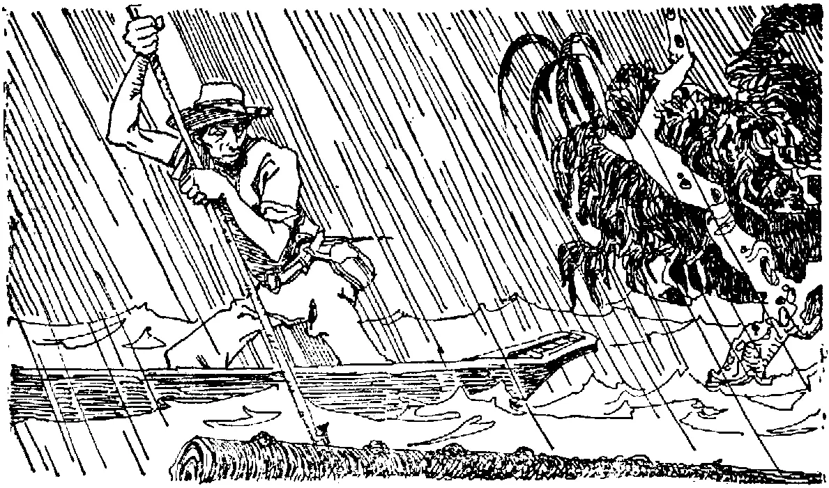 Мебель из розового дерева так и не появилась бы в доме мистера Холла не - фото 24