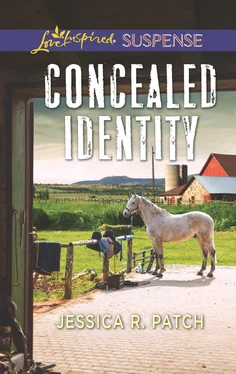 Jessica R. Patch Concealed Identity обложка книги