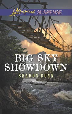 Sharon Dunn Big Sky Showdown обложка книги