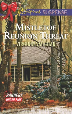 Virginia Vaughan Mistletoe Reunion Threat обложка книги