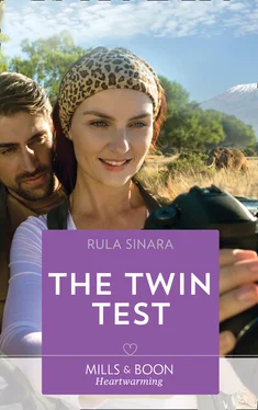 Rula Sinara The Twin Test обложка книги