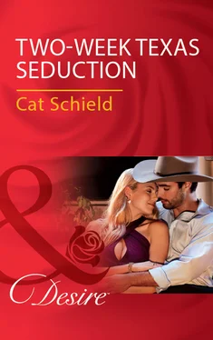 Cat Schield Two-Week Texas Seduction обложка книги