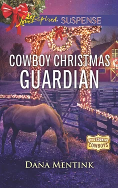 Dana Mentink Cowboy Christmas Guardian обложка книги