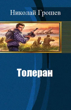 Николай Грошев Толеран (СИ) обложка книги