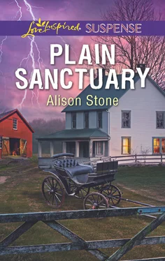 Alison Stone Plain Sanctuary обложка книги