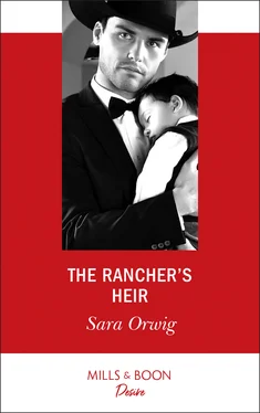 Sara Orwig The Rancher's Heir обложка книги