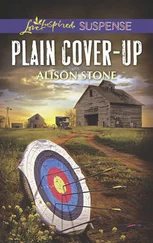 Alison Stone - Plain Cover-Up