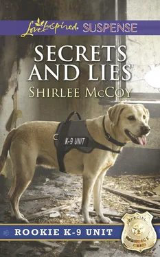 Shirlee McCoy Secrets And Lies обложка книги